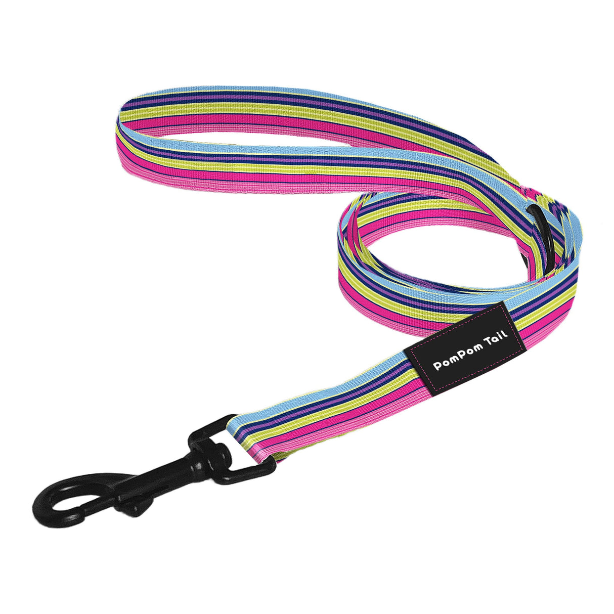 Don't Believe the Stripe Leash for Dogs and Pets 60" length, 3/4" width