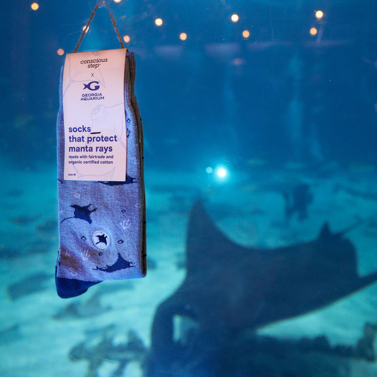 Socks that Protect Manta Rays held up in front of a live manta ray swimming inside a large aquarium tank.
