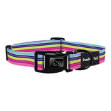 Don't Believe the Stripe Dog Pet Collar