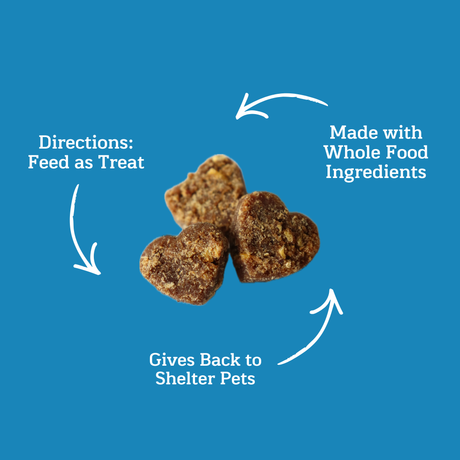 Gotcha Day Dog Treats Gives Back to Homeless Pets