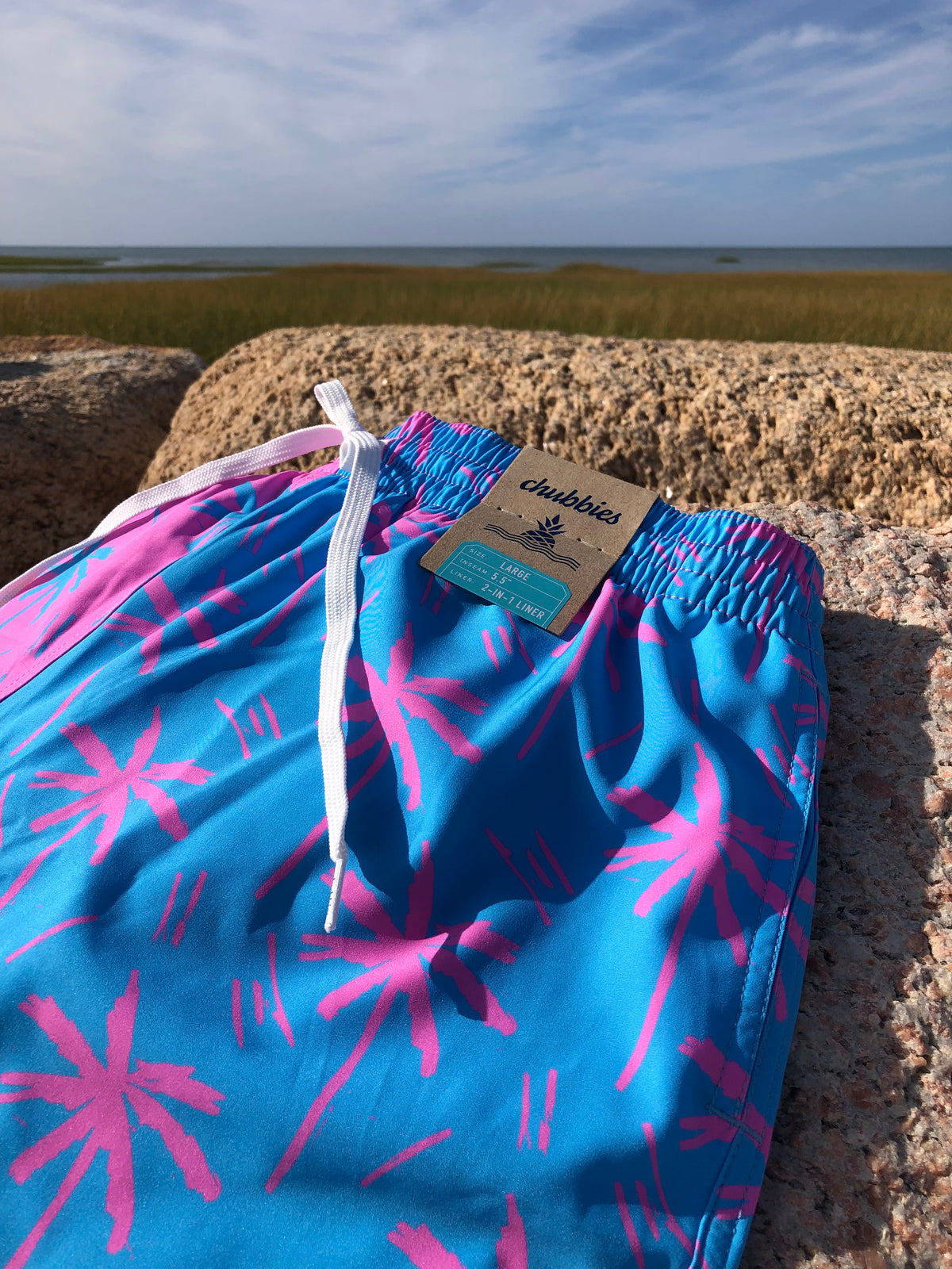 Chubbies Men's 5.5" Inseam Lined Swim Trunks – The Prince of Prints 🔥
