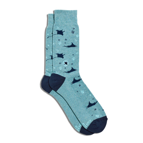 Alternative flat lay of Manta Ray organic cotton socks styled with ocean-inspired props on a neutral background.