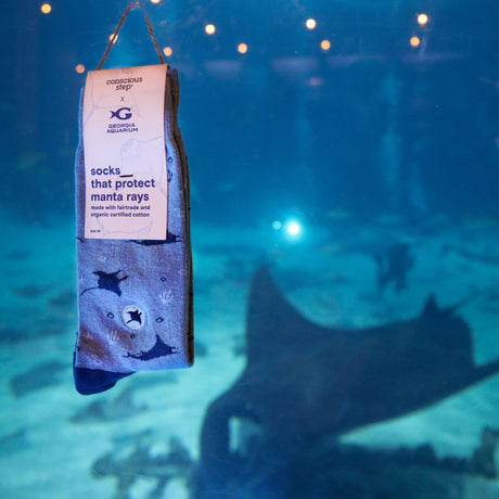 Socks that Protect Manta Rays held up in front of a live manta ray swimming inside a large aquarium tank.